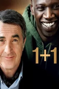 1+1