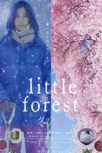 Небольшой лес: Зима и весна