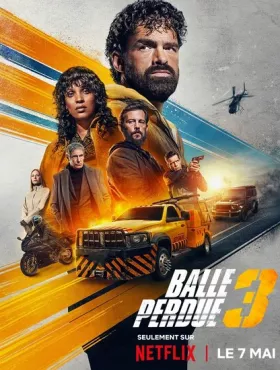 Шальная пуля 3