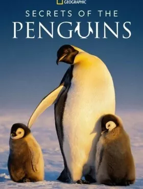 Тайны пингвинов