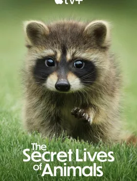 Тайная жизнь животных